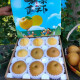 [Peach and pear combination] Mengyin Golden Queen yellow peach + Internet celebrity Qiuyue pear 5Jin [Jin equals 0.5kg] Fresh fruit Qiuyue pear 5Jin [Jin equals 0.5kg] gift box