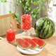 Jingxiansheng seedless Kirin watermelon, net weight 5-7Jin Jin is equal to 0.5kg, 1 fresh fruit straight from the source