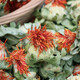 北京同仁堂西藏藏红花正品红花果泡水特级红花茶红花头茶整朵500克(一斤)