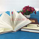 Bookstore Xinhua Aviation Rousseau, Hardcover, 2 Volumes on Education, Centennial Western Academic Sutra, Rousseau's Discussion on Bourgeois Education, World Literature Classics, SN3893