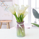 Calla lily, flowers for Buddha, home water-raised flower arrangement, Yunnan base, straight hair, super long flowering period, Chinese Valentine's Day gift, 10 calla lilies, 50-60CM