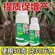 Garlic Bacteria Extract Original Liquid Garlic Special Medicine Dry Tip Yellow Leaf Root Rot Leaf Blight Rust Purple Spot Sterilizing Garlic Bacteria Clear 100ml 1 Bottle