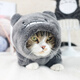 Wearing the bunny cat clothes in winter, four-legged blue cats, short, cute kittens, pets, kittens, dogs, autumn and winter, warm winter, dragon cat four-legged clothes XS (recommended 2-3 Jin [Jin equals 0.5 kilograms] to take photos and make friends cute)
