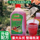 Chain saw oil garden machinery two-stroke 2T gasoline mixed combustion oil logging motorcycle oil 3 bottles