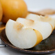 Beijing fresh mutton fat Qiuyue rock sugar pear net weight 2.8 Jin [Jin equals 0.5 kilogram] or more 4-6 pieces of seasonal fresh fruits delivered directly from the source