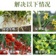 1.8% Sodium Nitrophenolate Tomato, Flower, Vegetable and Wheat Promote Root Growth and Prevent Fruit Drop Plant Growth Regulator 1000g 12 Bottles