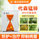 Guoguang 80% Mancozeb Fruit Tree Seedlings Flowers Rose Vegetables Grape Leaf Spot Powdery Mildew Pesticide Fungicide 200g