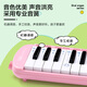 杉贝口风琴37键32键小学生专用初中生小学中学吹管成人儿童 黑-软包】2套吹管组 37键