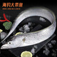 Domestic seafood gift box big gift box Dongxingban Qingqing lobster abalone gift box Dragon Boat Festival gift box 688 gift box [Lobster abalone pompho gift box]