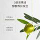 菲诗蔻（FicceCode）洗发水男士女士专用洗护套装生姜控油去屑洗发露强韧发丝洗头膏 坚果 300ml*2瓶 【洗发水+发膜】