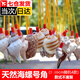 Aseblarm [4] Natural conch horn can blow trumpet Children's toys Conch shell crafts shell whistle Conch horn (4 random models) 5-10 cm