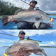 BFW Bode Fishing World Bone 24 Voyage-X Rounder x Luya Pole Four-Section Travel Prod Rending Persable Portable Dong Top Fishing Flate Flater 2,03 м BXC-684MH Ручка для пистолета Четырехб.