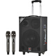 European and American sound 263 outdoor audio karaoke special all-in-one machine with sound card professional three-way singing high-power portable square dance Bluetooth trolley speaker with wireless microphone 12 inches 12 inches/263+2 microphones + spree