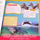 
Marine Biology World Encyclopedia Color Picture Phonetic Edition Children's Books and Books Over 689 Years Old Picture Books Story Books for Grade 1 and 2 Primary School Students' Interesting Science Encyclopedia Complete Set of Extracurricular Books with Pinyin Children's Encyclopedia - Ocean World (Audio Companion Reading Color