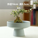 Peach and plum family's non-porous moss balls special flower pot water pipe utensils copper coin grass daffodil fern micro landscape ceramic porch ornaments TX large flat mouth JW1098 black sand pattern ceramic medium