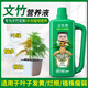 Devodo Asparagus special plant nutrient solution 500mL flower green plant hydroponic flower fertilizer rich bamboo Guanyin bamboo leaf fertilizer
