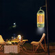 Scarlett Star Outdoor Lighting Mosquito Killer Lamp Picture Color SKD-M0117