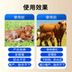 Ouya Taigao 5% cow compound premixed feed, fast estrus and sufficient milk supply, breeding period cow feed premix 25Kg/bag 1 ton (40 bags) 5% cow compound premixed feed