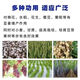 Agricultural Potassium Sulfate General Fertilizer for Fruit Trees and Vegetables Fully Water-soluble Potassium Fertilizer Nutritional Quick-acting Potassium Sulfate 50kg 100Jin Jin equals 0.5kg One bag of original factory packaging