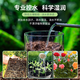 Shi Kefeng nutritious soil for growing flowers and vegetables 40l general-purpose soil acidic planting soil peat soil rose rose flower plants
