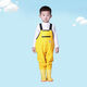 Zailu children's water play one-piece waders kindergarten waterproof clothes for catching the sea children's rain boots for men and women fishing rain pants beach blue fish zipper pocket-children's overalls 40 24 shoe inner length 15cm