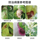 Guoguang Kangpu 30% pyraclostrobin tebuconazole wheat rose flower powdery mildew scab brown spot 100g