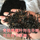 青钱柳批发修水金钱柳张家界青钱柳湖南城步茶 原叶500克(一斤)一疗程