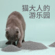 HONEYCARE Bentonite Cat Litter Ore Granular Cat Litter 20Jin [Jin equals 0.5kg] 2 boxes (8 packs)