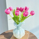Sweet and Romantic Domestic Tulips 10 Random Colors