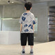 
AN Children's Clothing Boys Summer Set 2025 New Children's Summer Short-Sleeve Clothing Medium-Big Children's Cool and Fashionable Street Explosion Gray 150 (Suggested height about 145cm)