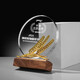 Feichuang Space und High-End-Holzkristall Trophäe Customized Souvenir Design und Produktion ausgezeichnete Trophäe Autorisierte Kartenpreisträgerin und Belohnungsdenkmale Sonderpreis Mini-Modell