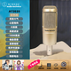 Audio-Technica AT2035 Microphone Professional Condenser Microphone Computer Live Karaoke Dubbing Audio Book Voice Hall Professional Recording Microphone Brand TOP AT2035 Black