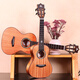 Ajima AJIMA Full Single Mahogany Ukulele Small Guitar Beginners Male Student Adult Female Uklili A3 23-inch Log Color A3 Full Single Matte