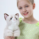 Cometa trapo Ragdoll Cat Plush Toy Doll Doll Doll Adornos almohada Valentín de San Valentín Regalos de curación para novia
