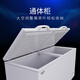 澳柯玛（AUCMA）商用大容量冰柜家用茶叶柜冷藏冷冻柜单温转换节能省电雪柜深冷速冻鲜花保鲜冰箱冷柜肉柜一级能效 1级能效丨电子控温丨-18°丨730L