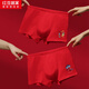 Hodohome children's underwear boy's lucky zodiac year red shorts boy's new year's festive cotton shorts 311 165
