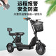 Biwit Electric Tricycle Small Leisure Folding Adult Lady Elderly Pickup Children Battery Car Scooter New Generation Knight Black Remote Start 48V12A Lead Battery 100 Miles/Double Brake Shock Absorption