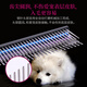 Xuanniao pet grooming straight comb aluminum row comb professional hair picking combing knot styling comb floating hair cat and dog pointed tail comb purple pointed tail comb (18.3x2.5cm)