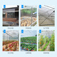 Wanhe plastic film thickened greenhouse film rainproof cloth transparent plastic cloth waterproof cloth dustproof insulation film 8 wires 2*2 meters