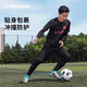 迪卡侬（DECATHLON）运动紧身裤男速干裤篮球跑步训练裤健身裤打底裤KIP KDRY100 加绒紧身衣+加绒紧身裤 M