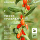 Ning'anbao wolfberry Ningxia wolfberry Zhongning special special free hair red wolfberry [280 pills/50g] Big fruit wolfberry 250g*2 cans