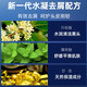 清扬(CLEAR)洗发露清爽控油去屑止痒洗头膏水润蓬松男女洗发水 清爽控油(旅行装） 100g*2瓶