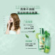 L'OREAL hair essential oil hair care essential oil Guanxia ladies hair curly hair care smooth hair improvement frizz gift girl [Mojito] small green bottle 100ml new style