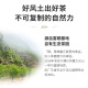 顶青湖鸭屎香凤凰单枞茶特级高山乌龙茶潮州乌岽单丛茶叶礼盒500g乌龙茶