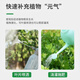 Cuttlefish plant nutrient solution universal 2500ml hydroponic green plant flower fertilizer money tree green radish concentrated liquid fertilizer