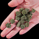 北京同仁堂云南三七花500g中药材田七花泡水正宗非甘草片 【罐装】三七花500g