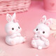 Jouer à la lutte contre le lapin Ornements d'anniversaire cadeau femme de travail de coeur pratique de bureau