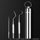 Meet the Beauty Stainless Steel Toothpick Metal Teeth Picking Calculus Remover Portable Oral Teeth Cleaning Set Tool