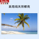 新宝（XinBao）沙锤打击乐器砂球成人用椰壳KTV沙球舞蹈道具1对