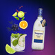 Schwglan ​​Jin Brewery Riga Wein Gin frischer Kiefernduft 40 Grad Spirited Base Wine 750 ml Geschenk 750 ml 1 Flasche